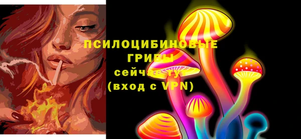 мдпв Бородино