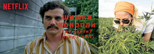 мдпв Бородино