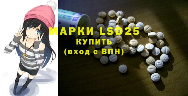 мдпв Бородино