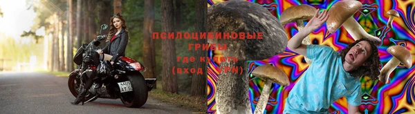 дурь Семёнов