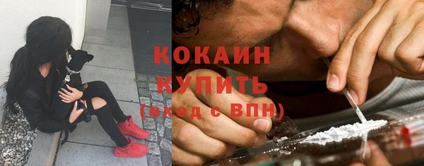 мдпв Бородино
